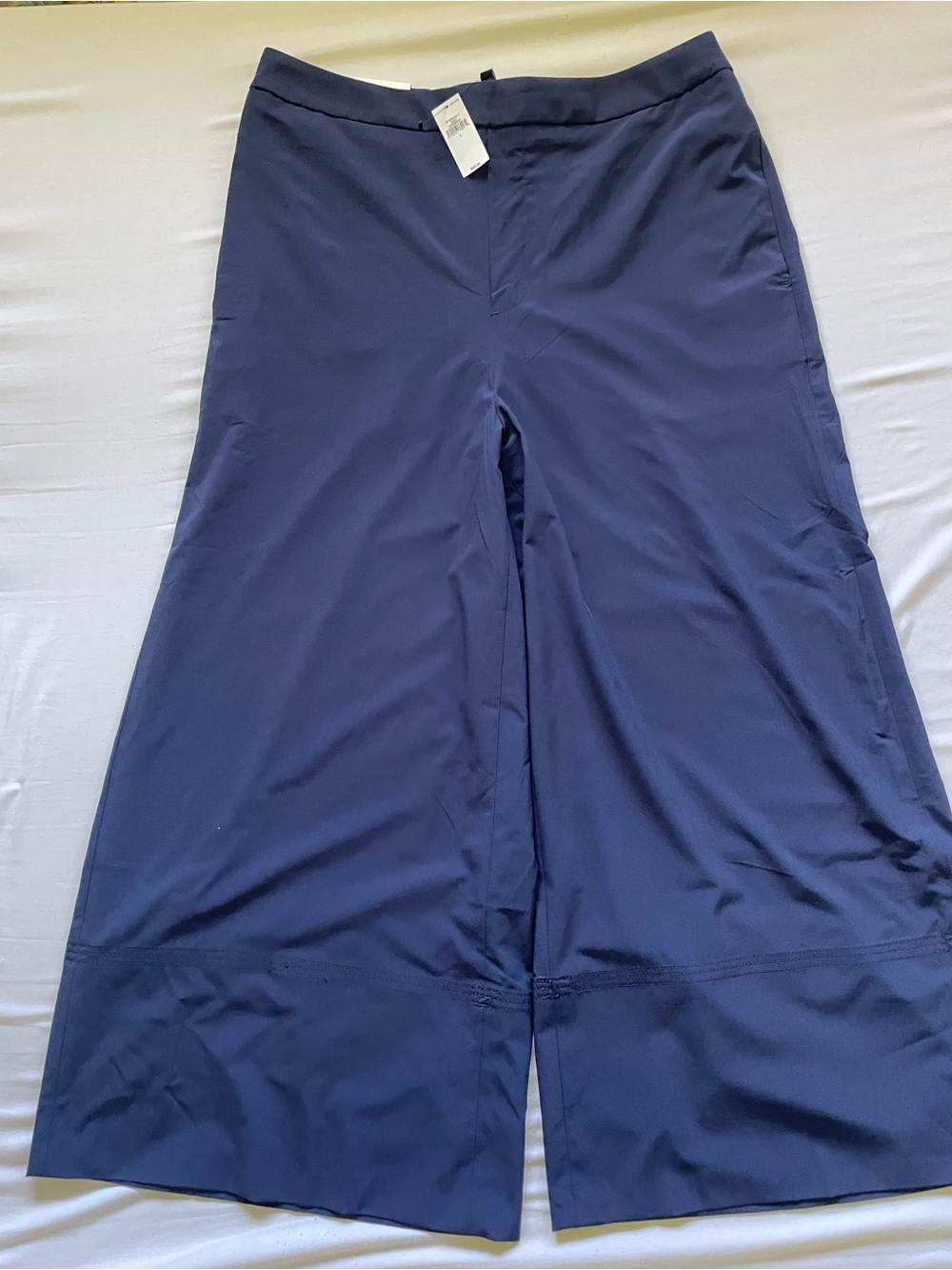 Banana Republic Wide-Leg Navy Chinos